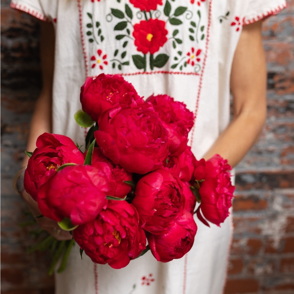 Hand Embroidered Cream Dress with Red Floral Design